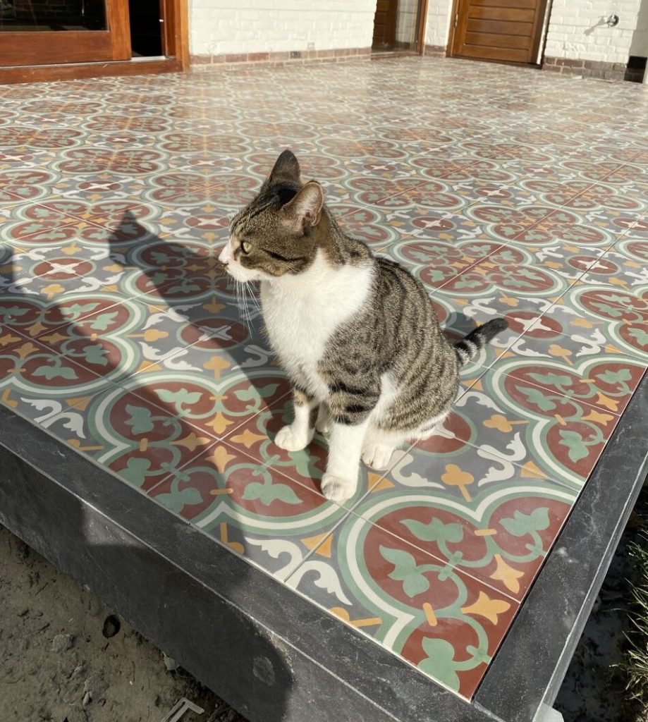Portugese tegels terras